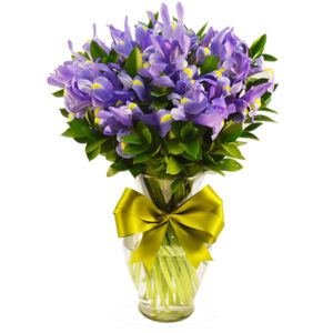 Iris en florero